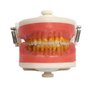 manequim top periodontia pronew 118666